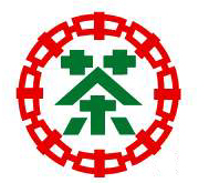 cnnp jubileumi lepény